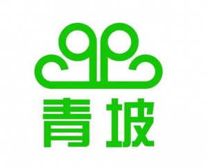 江苏青坡精密五金弹簧有限公司